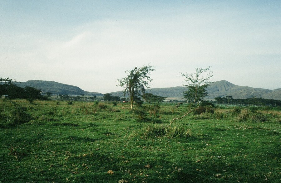 Kenya-Zanzibar-Tanzania-Burundi_007