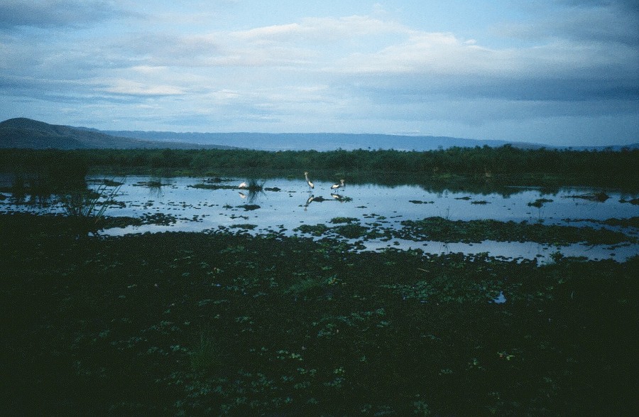 Kenya-Zanzibar-Tanzania-Burundi_009