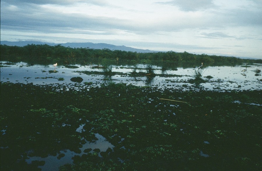 Kenya-Zanzibar-Tanzania-Burundi_012