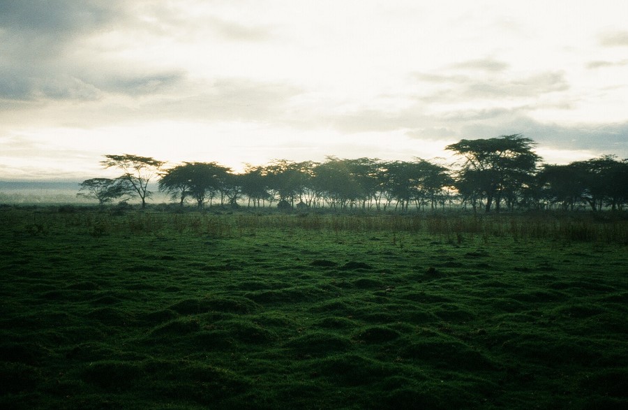 Kenya-Zanzibar-Tanzania-Burundi_014