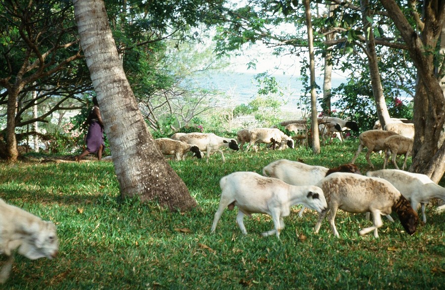 Kenya-Zanzibar-Tanzania-Burundi_073