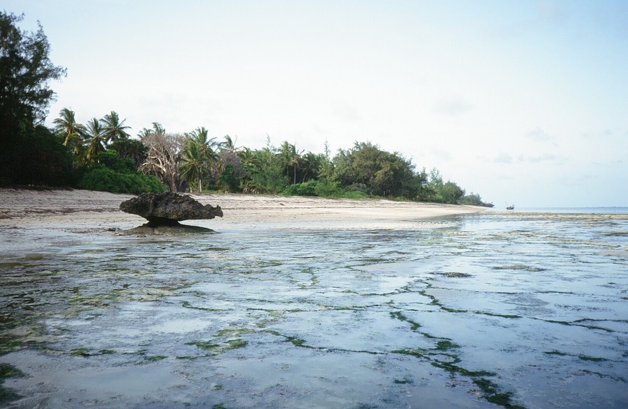 Kenya-Zanzibar-Tanzania-Burundi_075