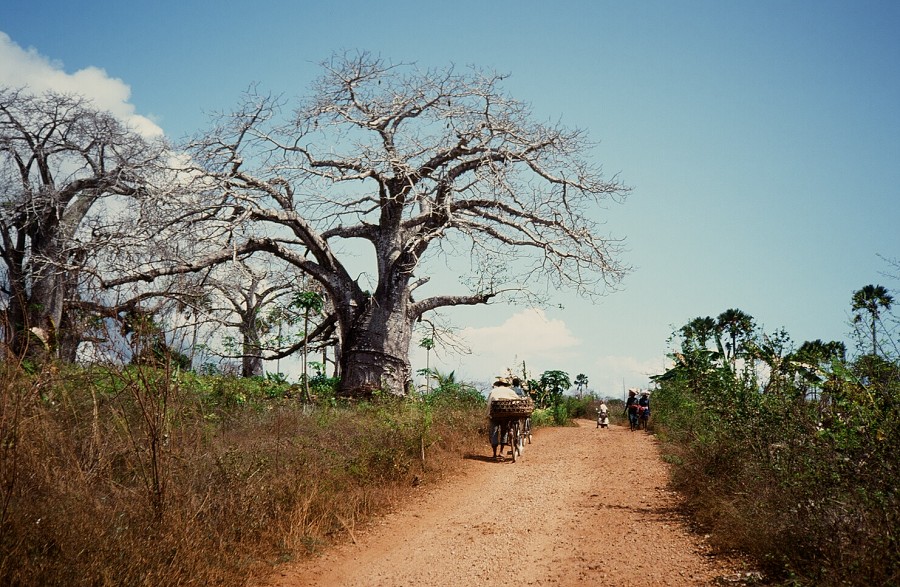 Kenya-Zanzibar-Tanzania-Burundi_117