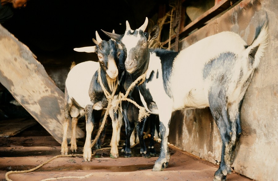 Tanzania-Ruanda-Tanzania_010