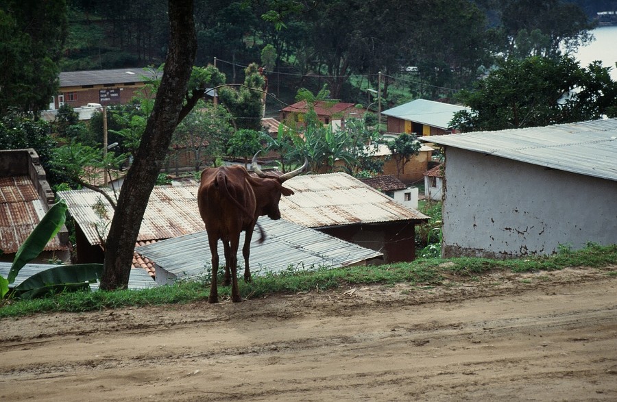 Tanzania-Ruanda-Tanzania_029