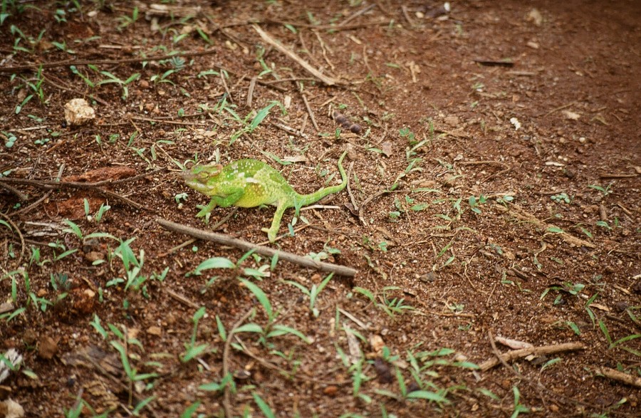 Tanzania-Ruanda-Tanzania_043