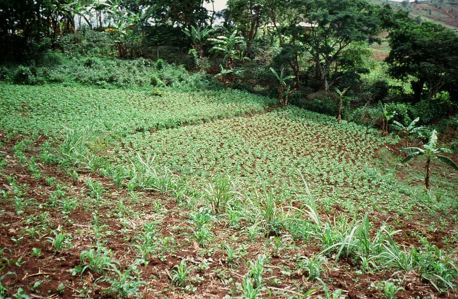 Tanzania-Ruanda-Tanzania_052