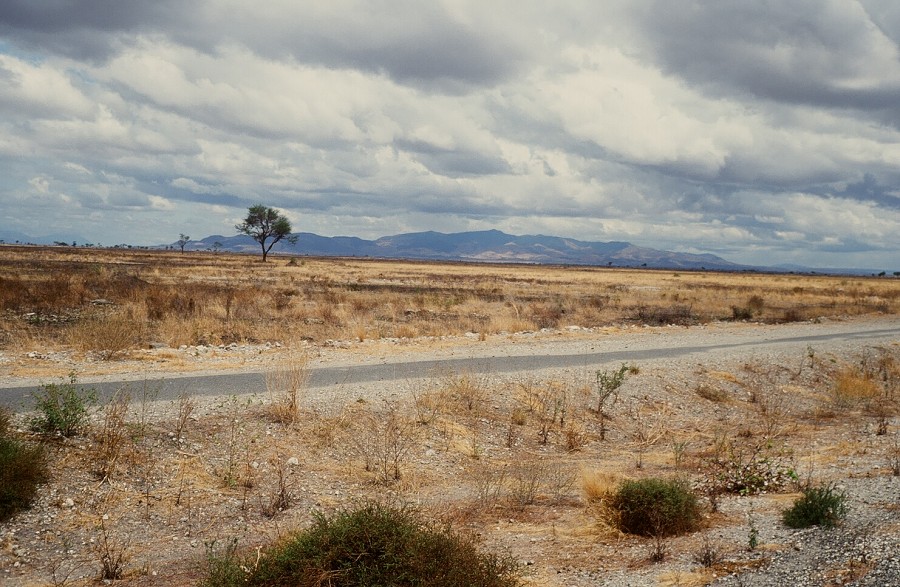 Tanzania-Ruanda-Tanzania_061