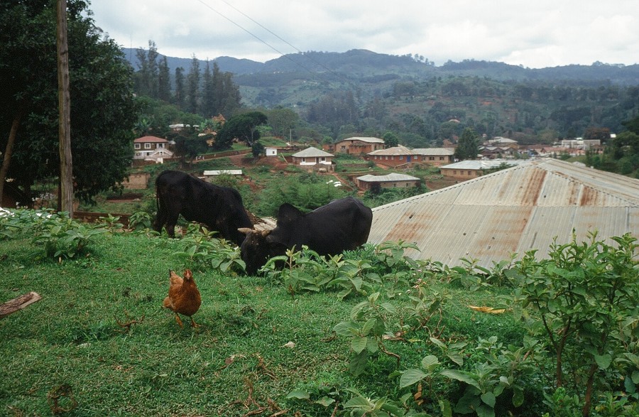 Tanzania-Ruanda-Tanzania_075