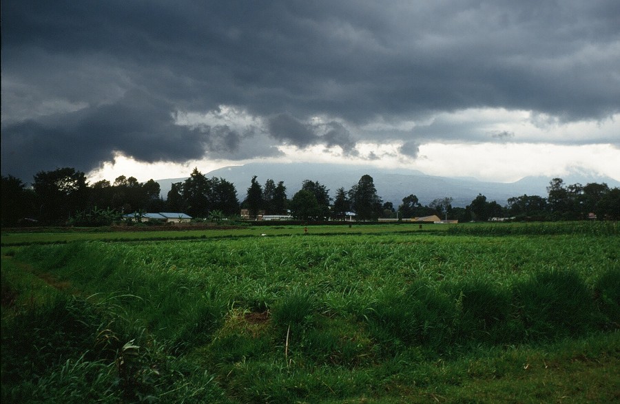 Tanzania-Ruanda-Tanzania_139