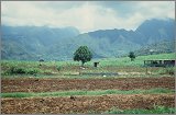 Tanzania-Kenya-LaReunion_164