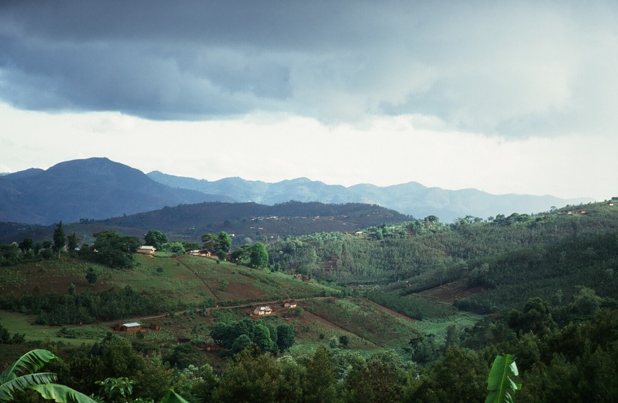 Tanzania-Kenya-LaReunion_001