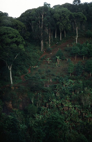 Tanzania-Kenya-LaReunion_003