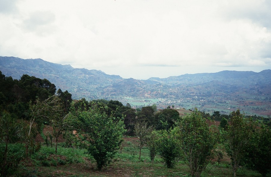 Tanzania-Kenya-LaReunion_004