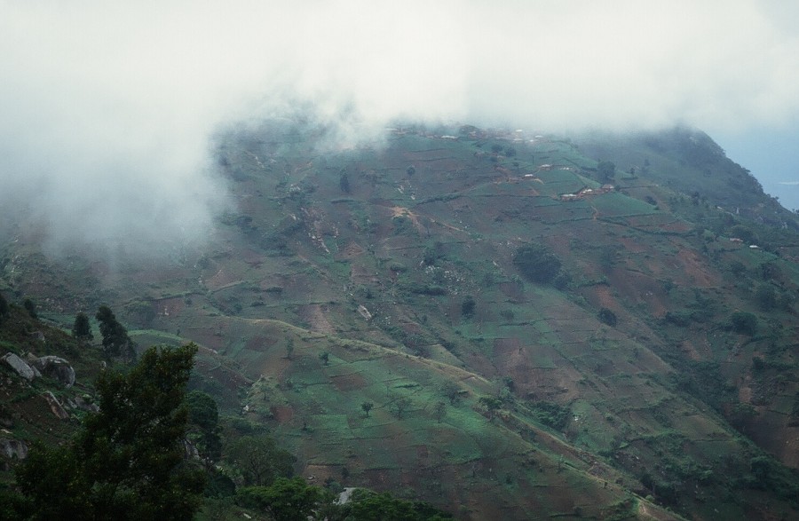 Tanzania-Kenya-LaReunion_010