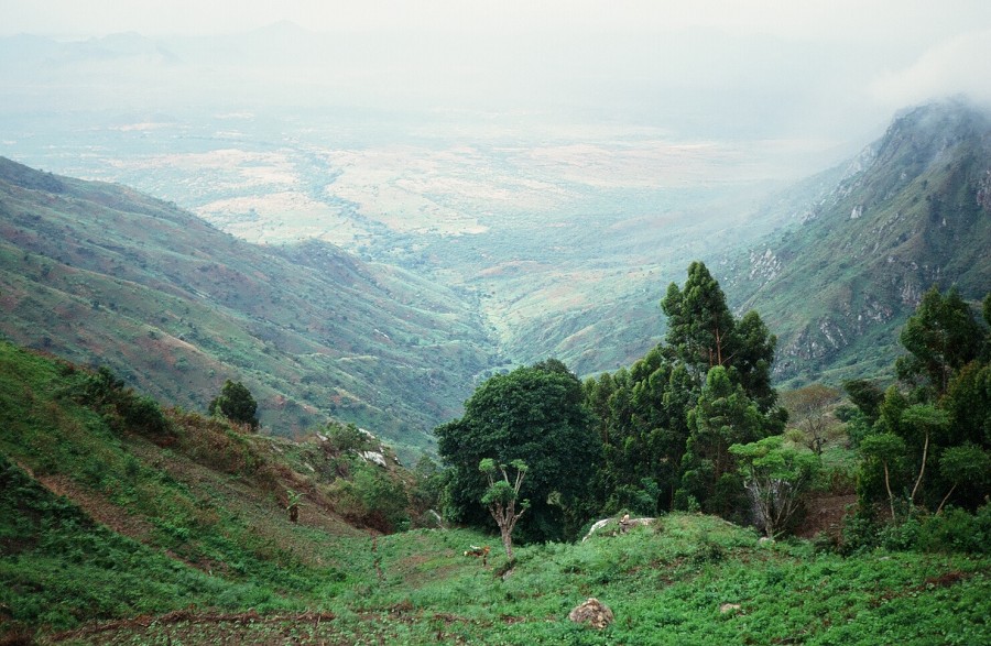 Tanzania-Kenya-LaReunion_012