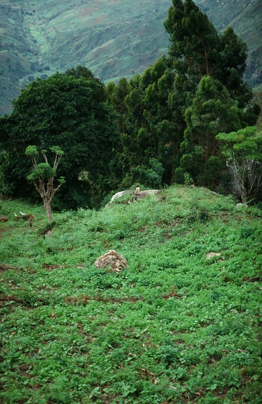 Tanzania-Kenya-LaReunion_013