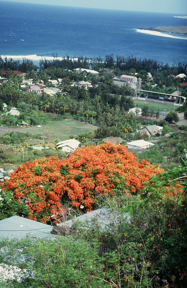 Tanzania-Kenya-LaReunion_075