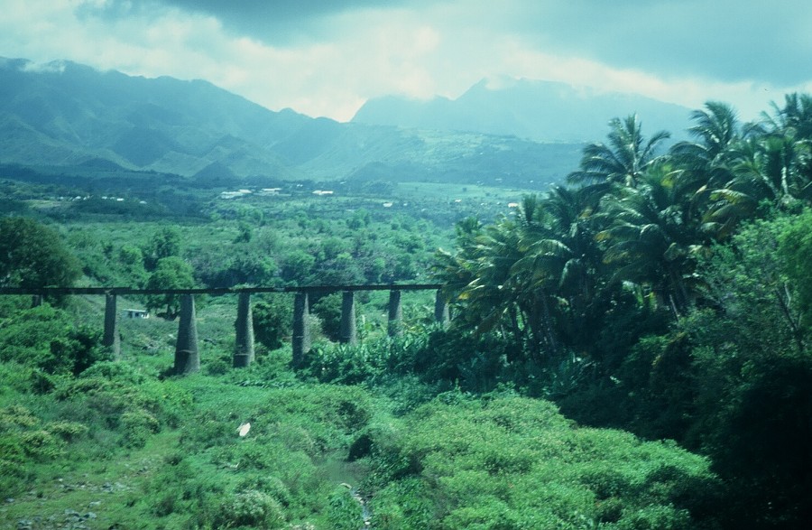 Tanzania-Kenya-LaReunion_088