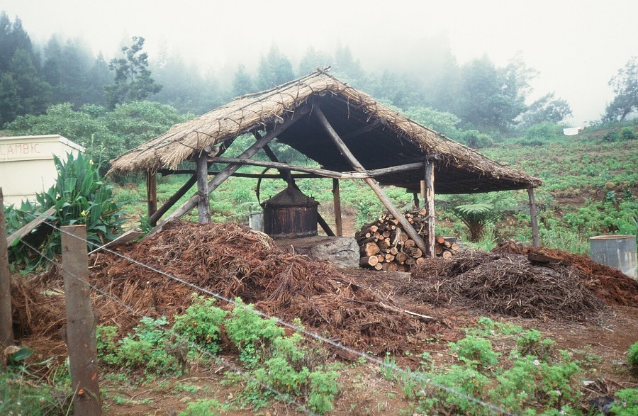 Tanzania-Kenya-LaReunion_095