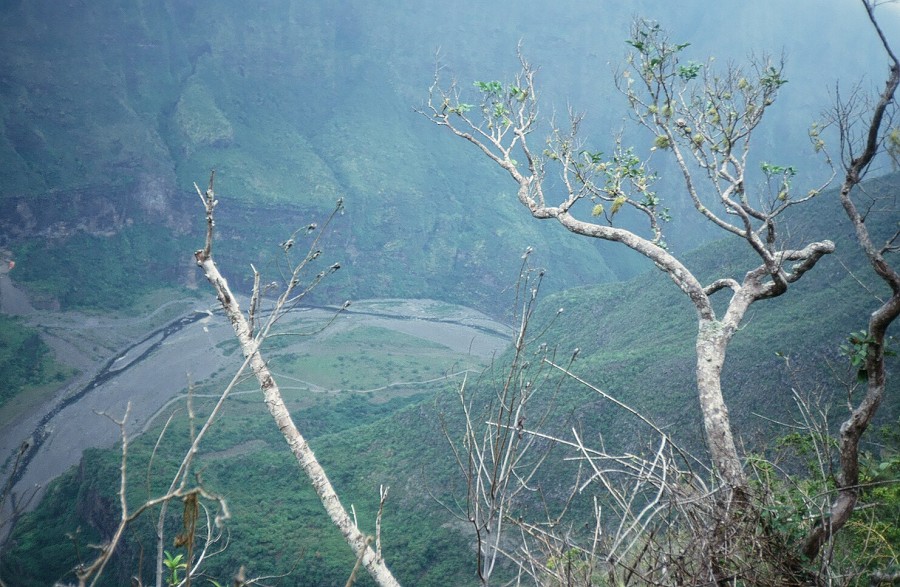 Tanzania-Kenya-LaReunion_104