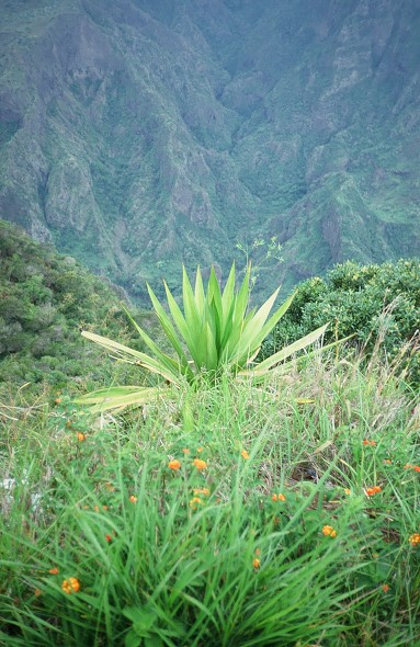 Tanzania-Kenya-LaReunion_106