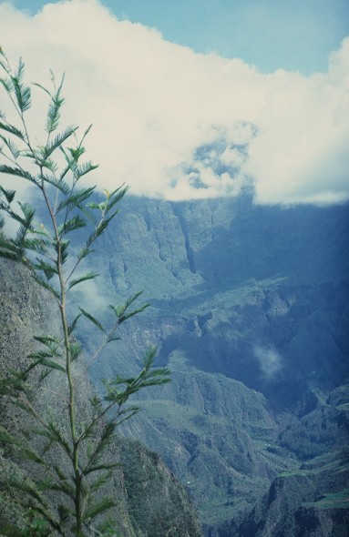 Tanzania-Kenya-LaReunion_124