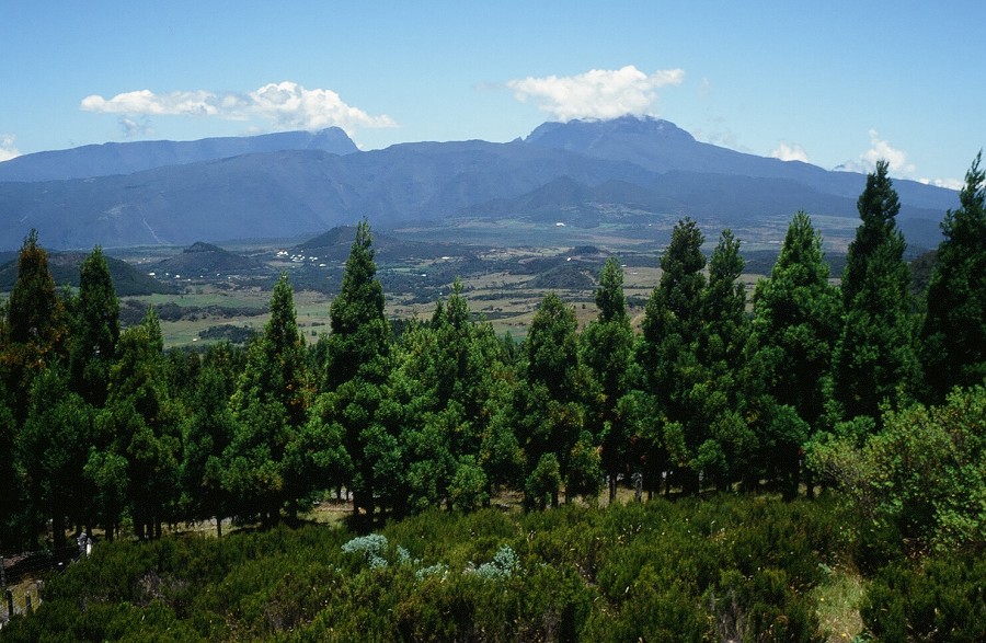 Tanzania-Kenya-LaReunion_158