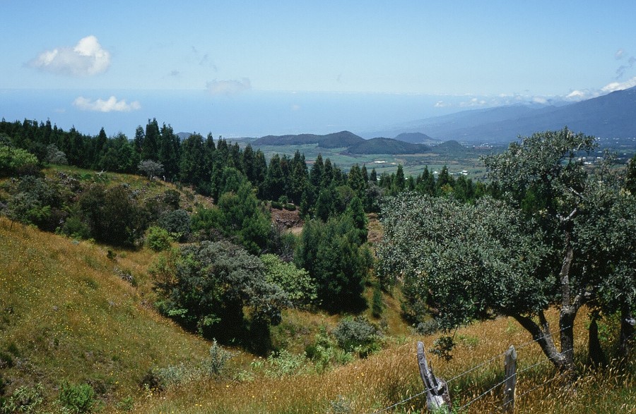 Tanzania-Kenya-LaReunion_160