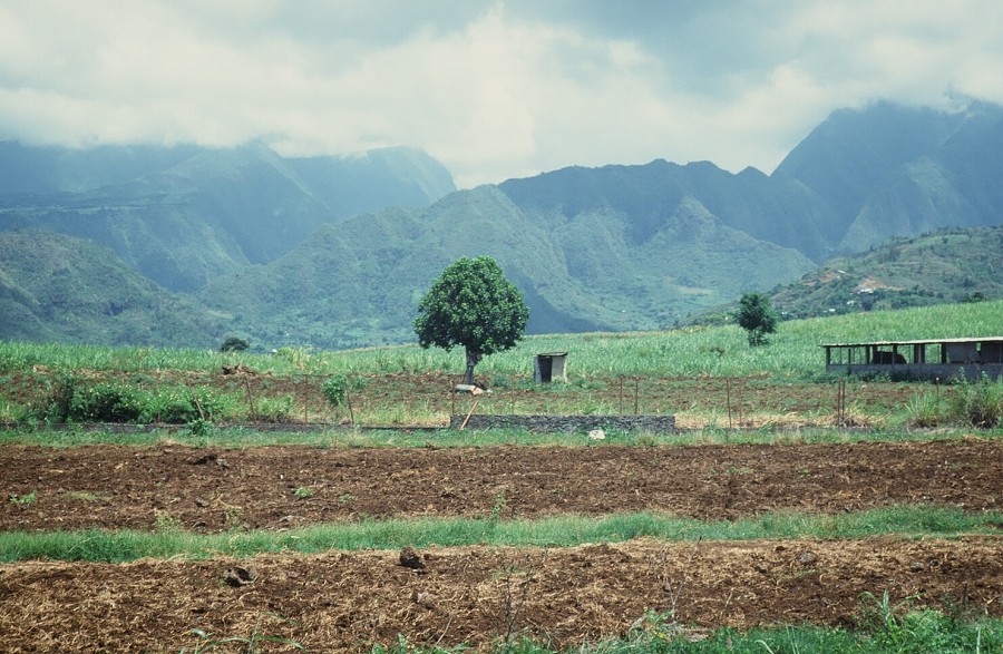 Tanzania-Kenya-LaReunion_164