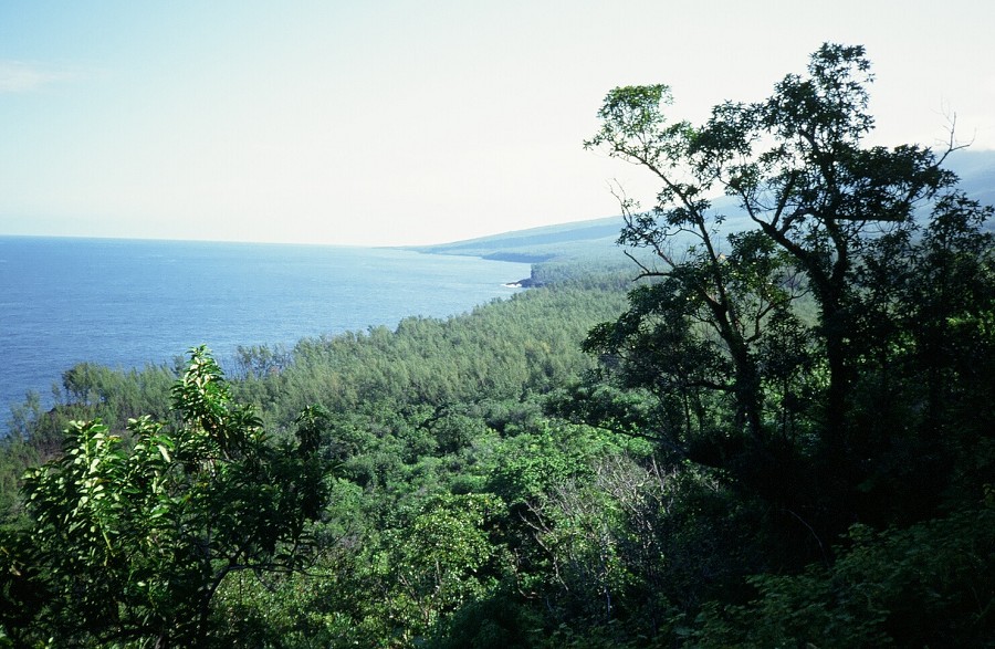 Tanzania-Kenya-LaReunion_171