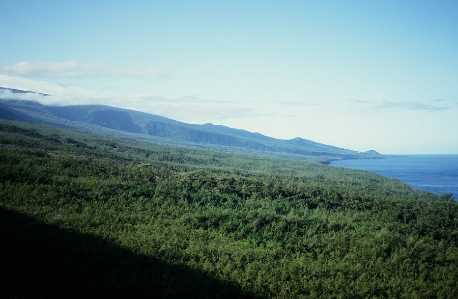 Tanzania-Kenya-LaReunion_174