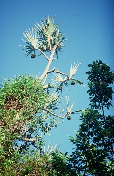 Tanzania-Kenya-LaReunion_176