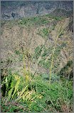 LaReunion_038