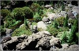 LaReunion_042