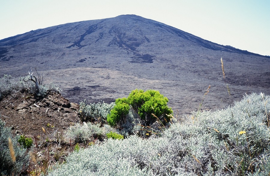 LaReunion_014