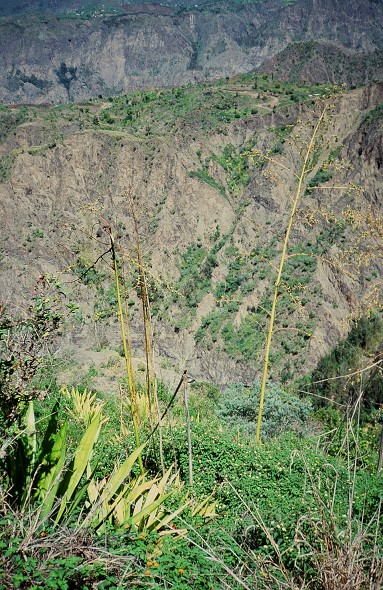 LaReunion_038