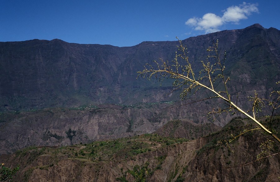 LaReunion_048