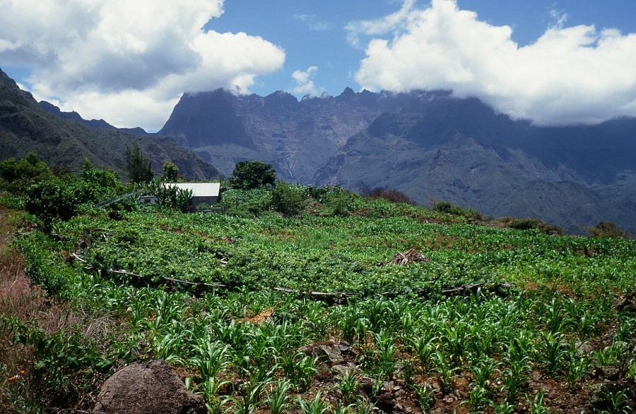 LaReunion_058