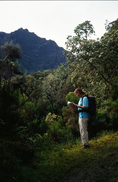 LaReunion_072