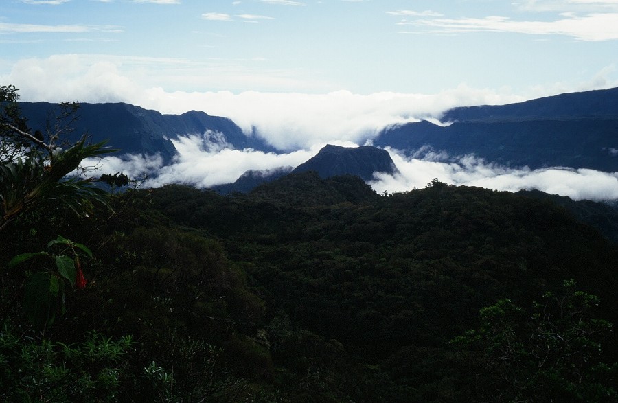 LaReunion_075