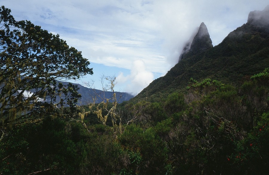 LaReunion_079