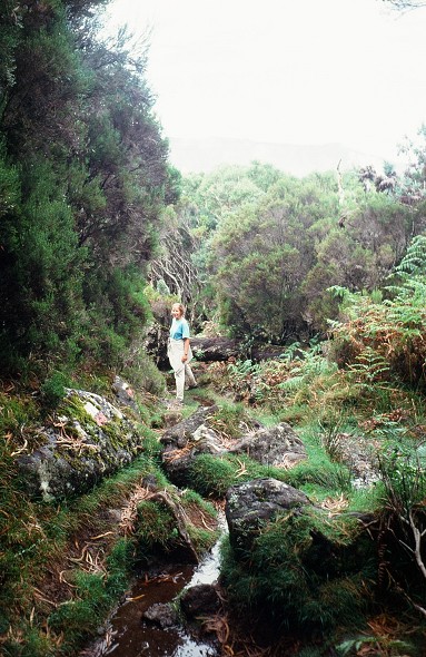 LaReunion_080