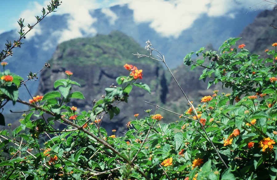 LaReunion_085