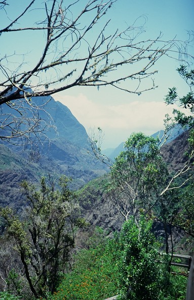 LaReunion_086