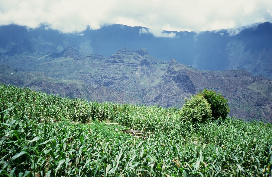 LaReunion_090