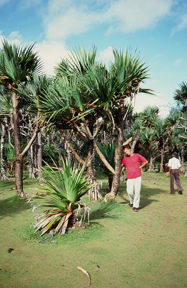 LaReunion_098