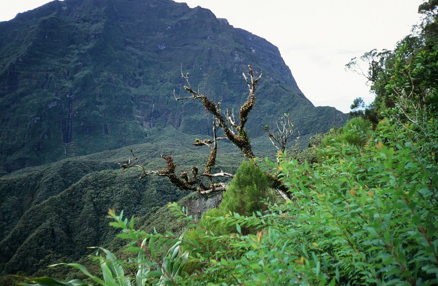 LaReunion_111