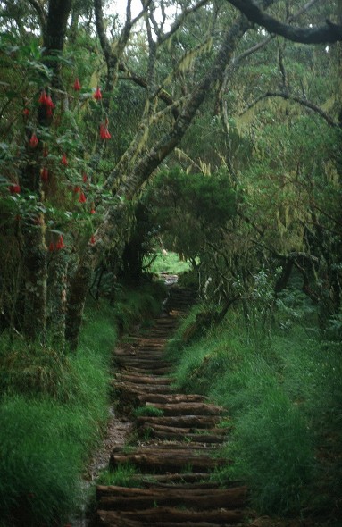 LaReunion_130