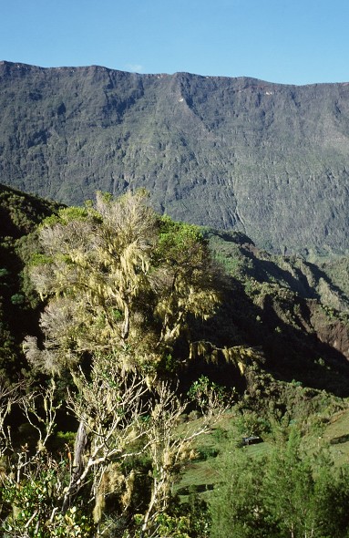 LaReunion_164